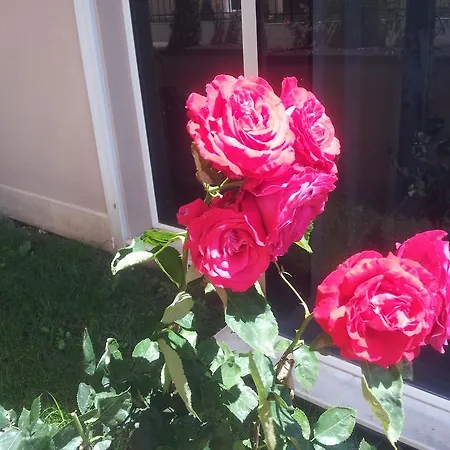 Apartament Vip Zone Słoneczny Brzeg