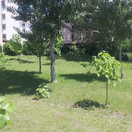 Vip Zone Słoneczny Brzeg